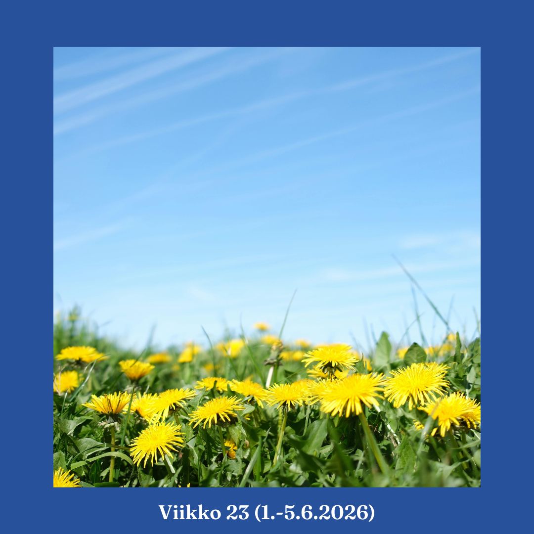 viikkotiedote 23