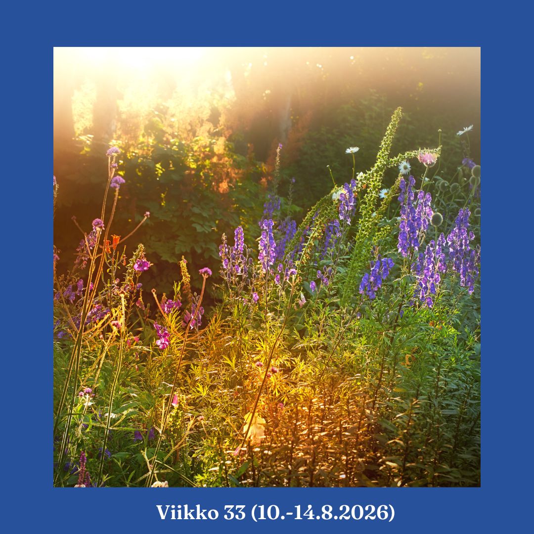 viikkotiedote
